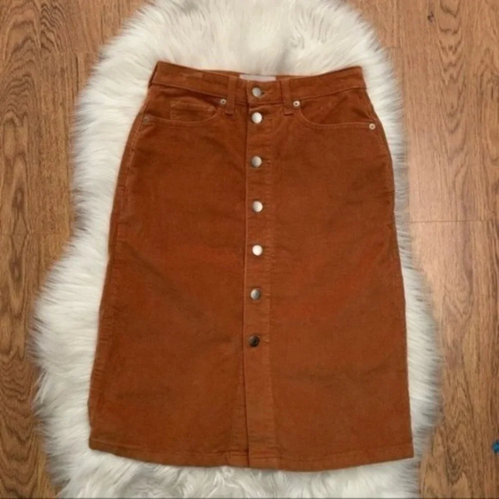 Everlane Skirt